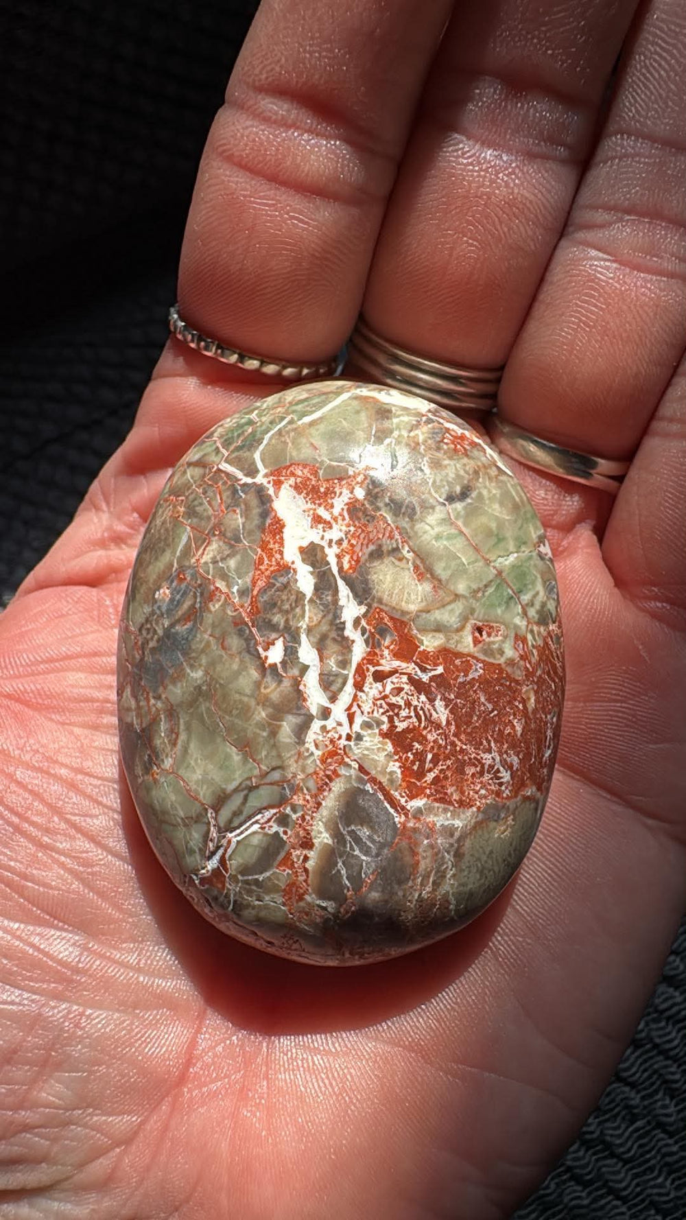 Money Agate Palm