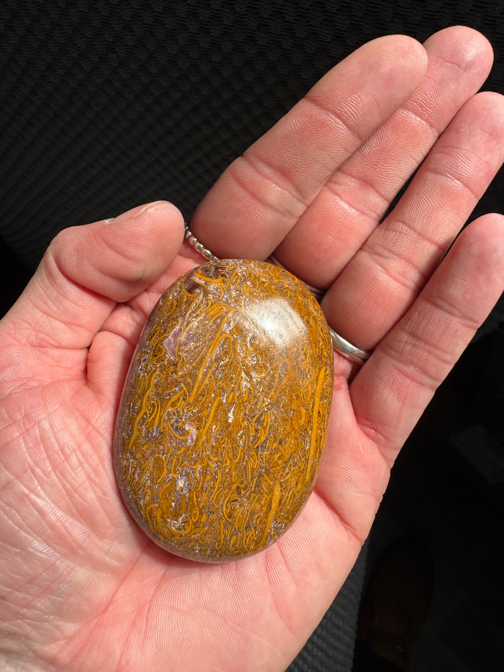 Miriam Jasper Palm