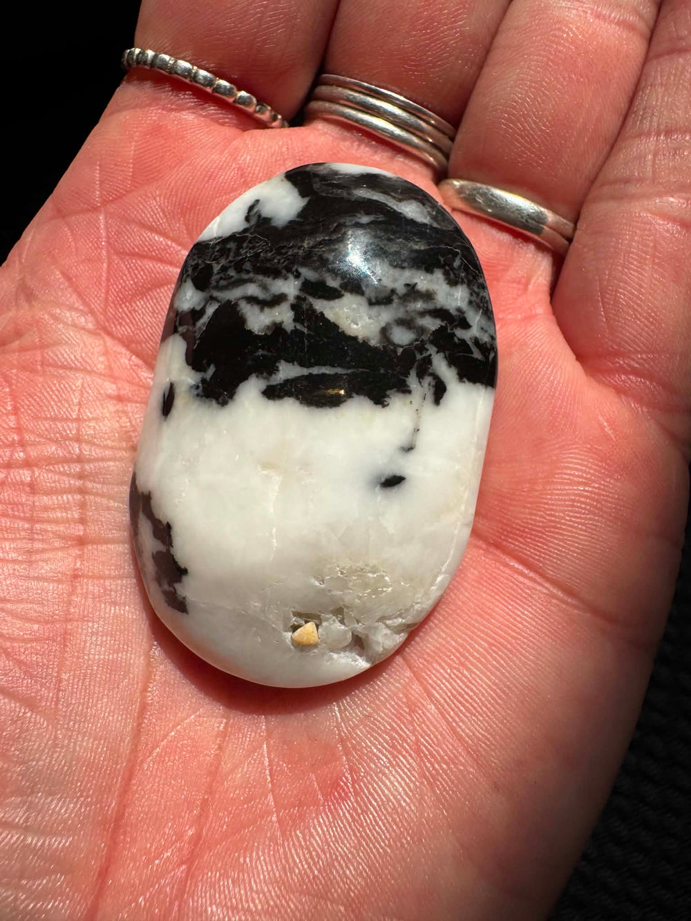 Zebra Jasper Palm