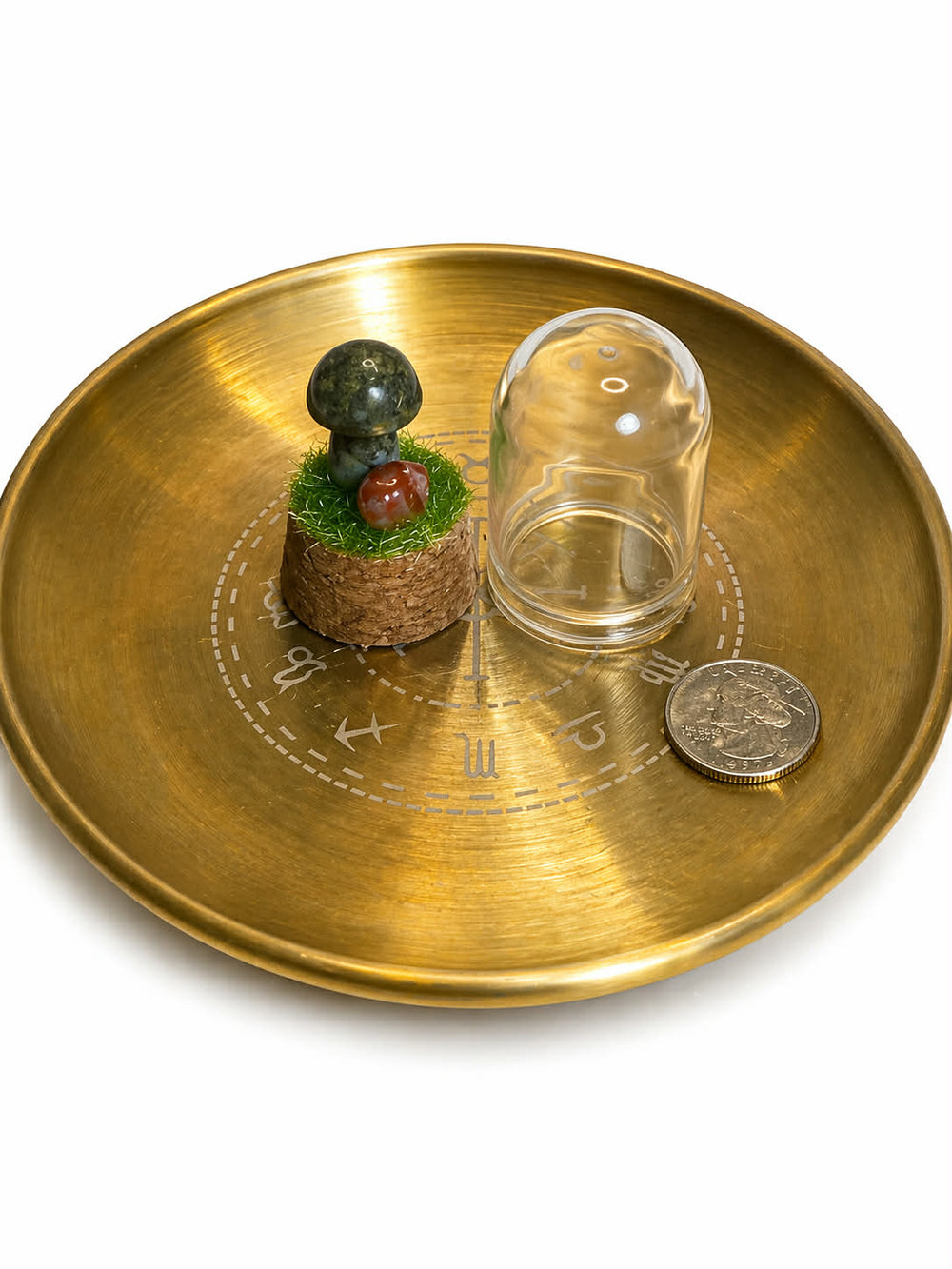 Gemstone Mini Mushroom Terrarium-Dragon Blood Jasper