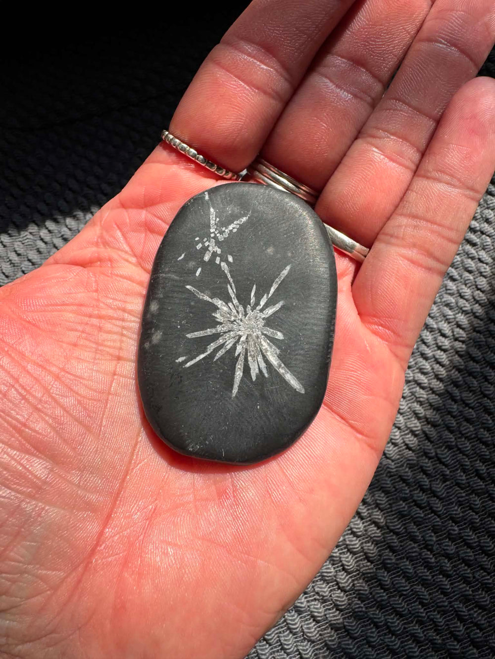 Chrysanthemum Palm Stone
