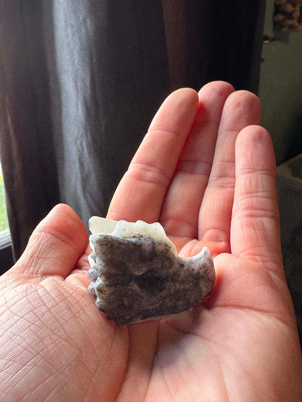 Agate Dragon Skull