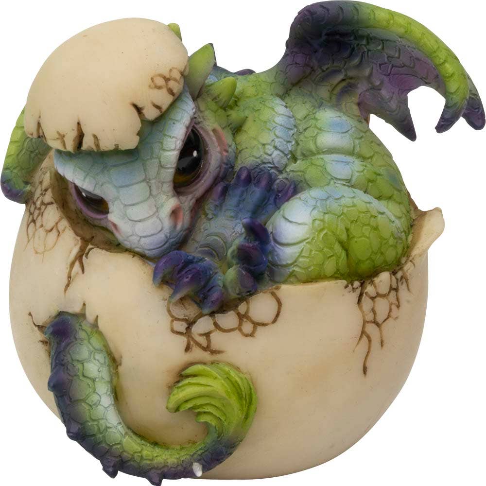 Resin Dragon - Hatching- Green & Blue- 3.25X3"H.