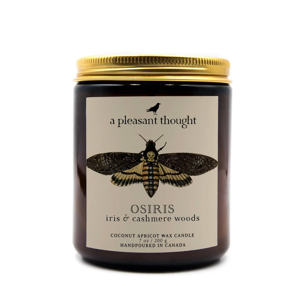 OSIRIS | IRIS & CASHMERE WOODS | JAR CANDLE: Wood