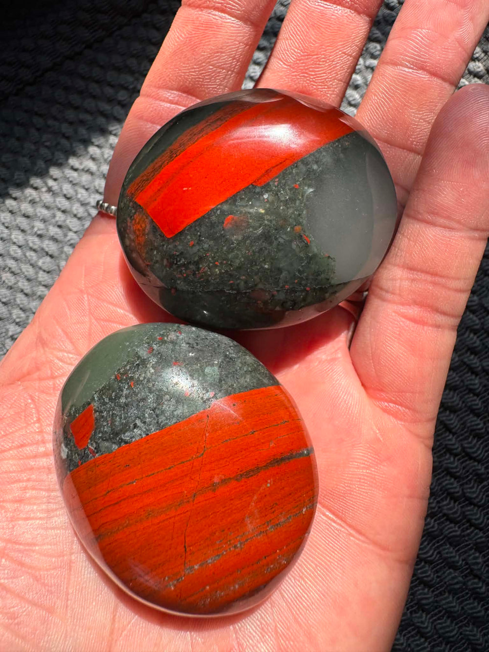 Bloodstone Palm