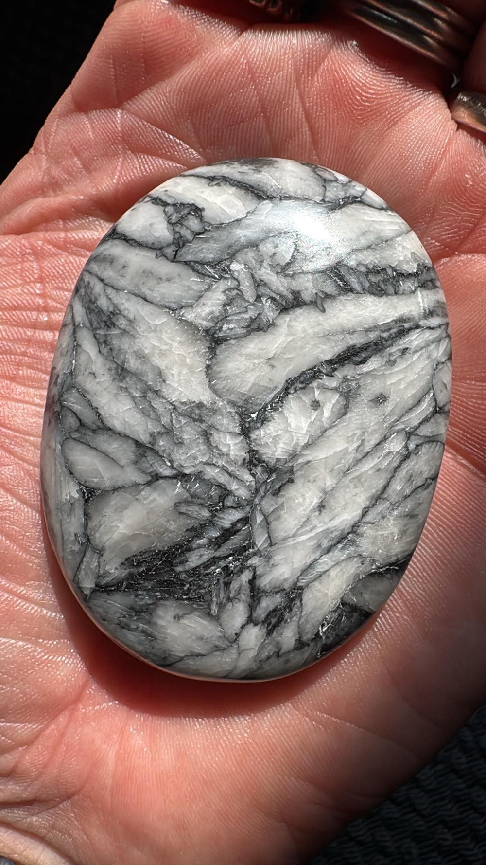 Pinolith Palm