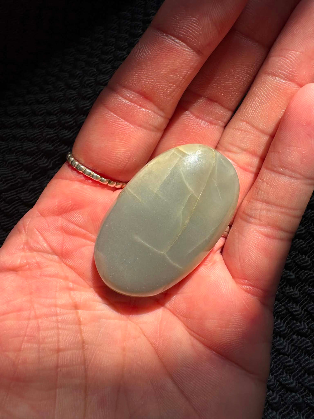 Garnierite Palm