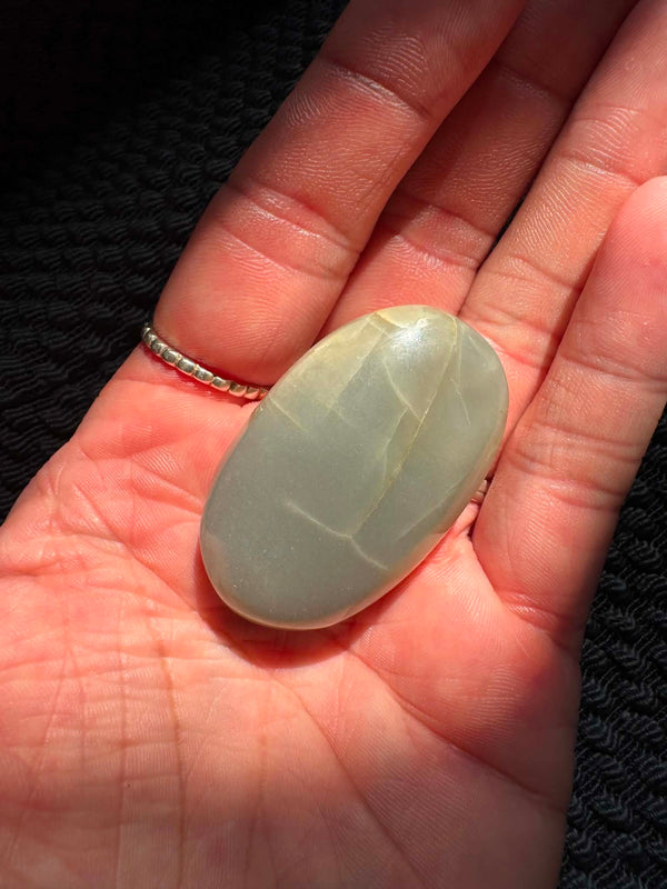 Garnierite Palm