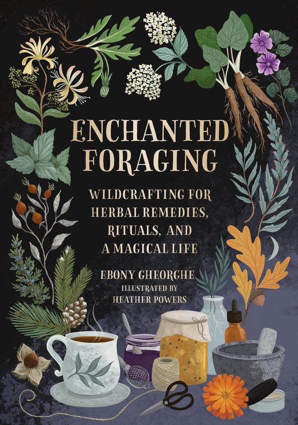 Enchanted Foraging - by Ebony Gheorghe (Hardcover)