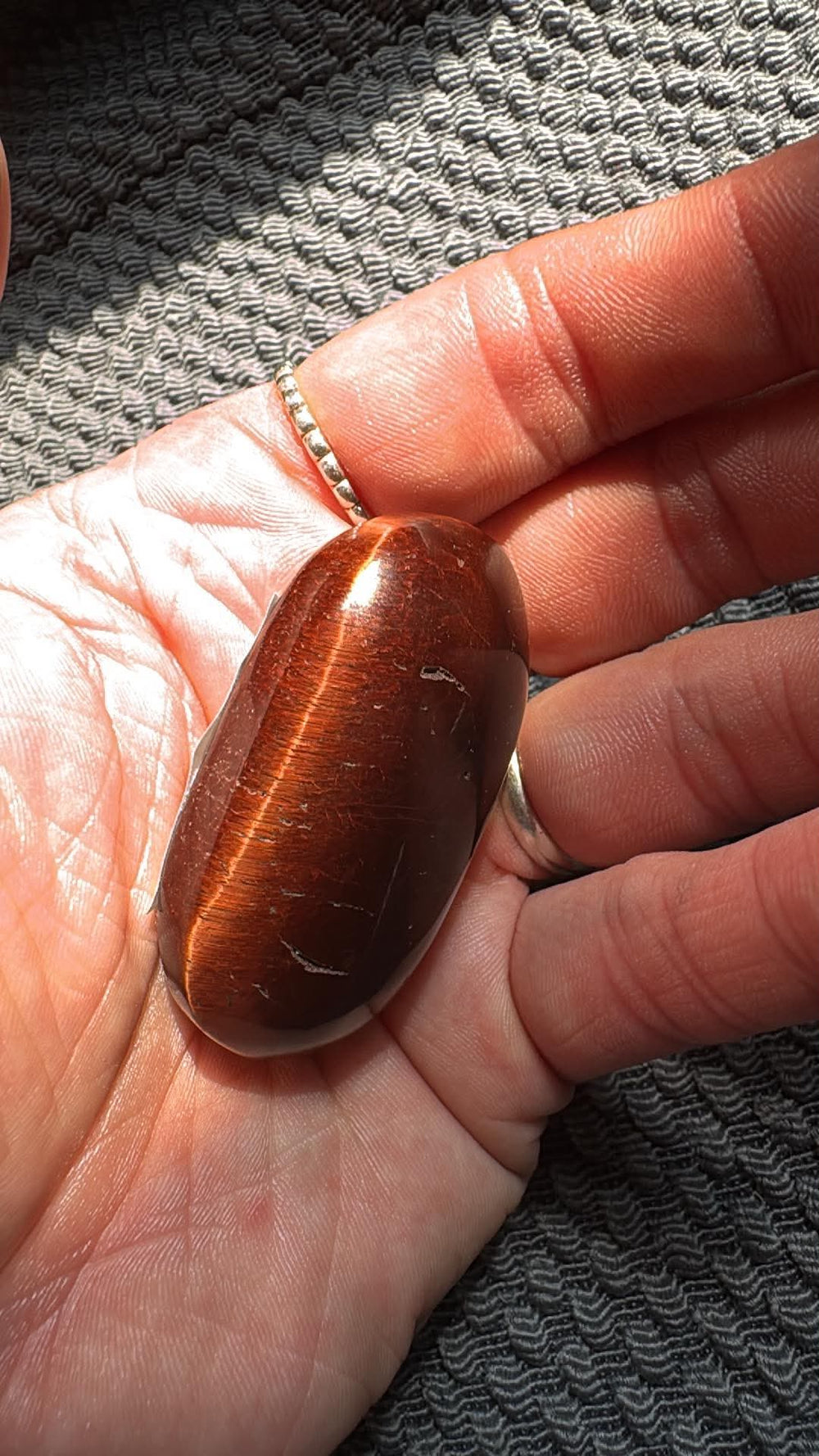 Red Tiger Eye Palm