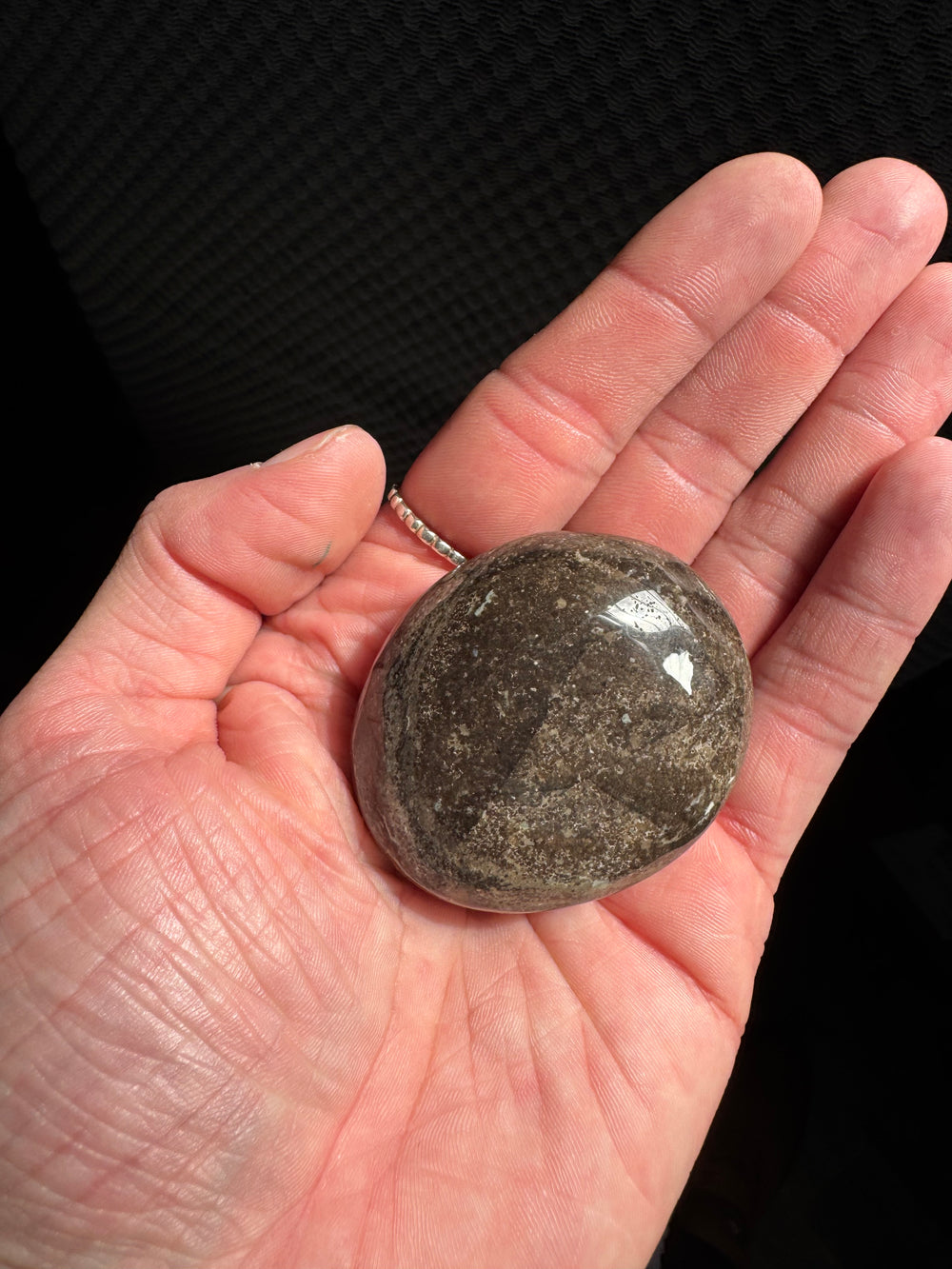 Black Opal Palm