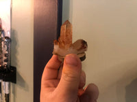 Tangerine Quartz M