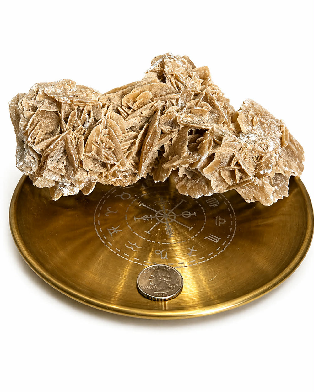 Desert Rose