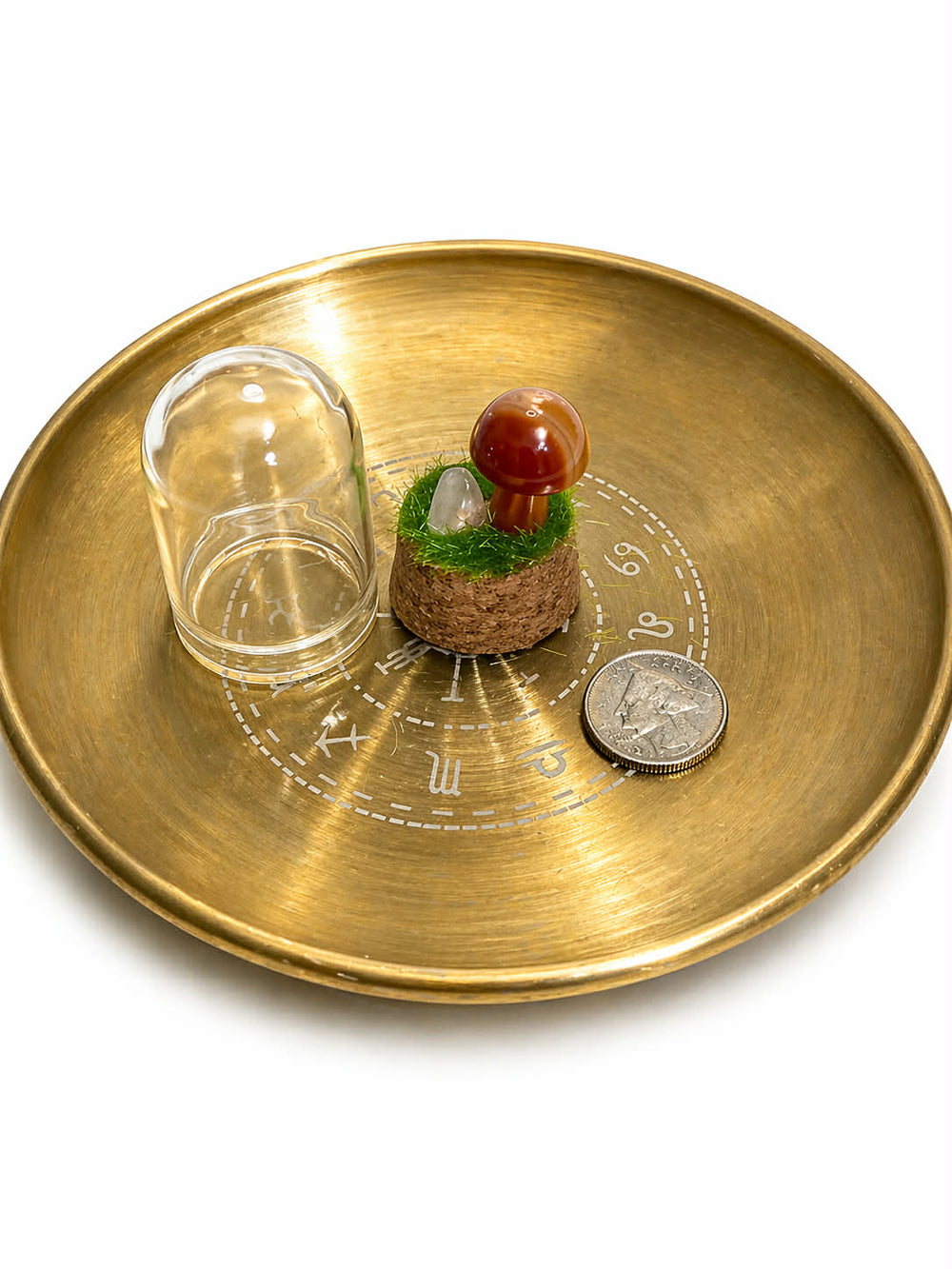Gemstone Mini Mushroom Terrarium-Carnelian