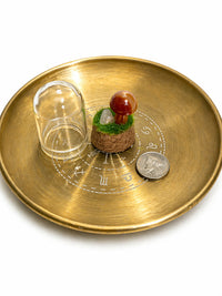 Gemstone Mini Mushroom Terrarium-Carnelian
