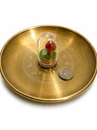 Gemstone Mini Mushroom Terrarium-Carnelian
