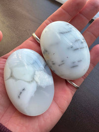 Dendritic Agate Palm Stone intuitively pick