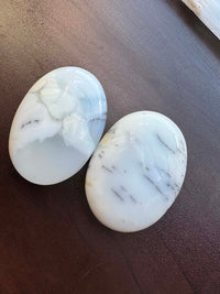 Dendritic Agate Palm Stone intuitively pick