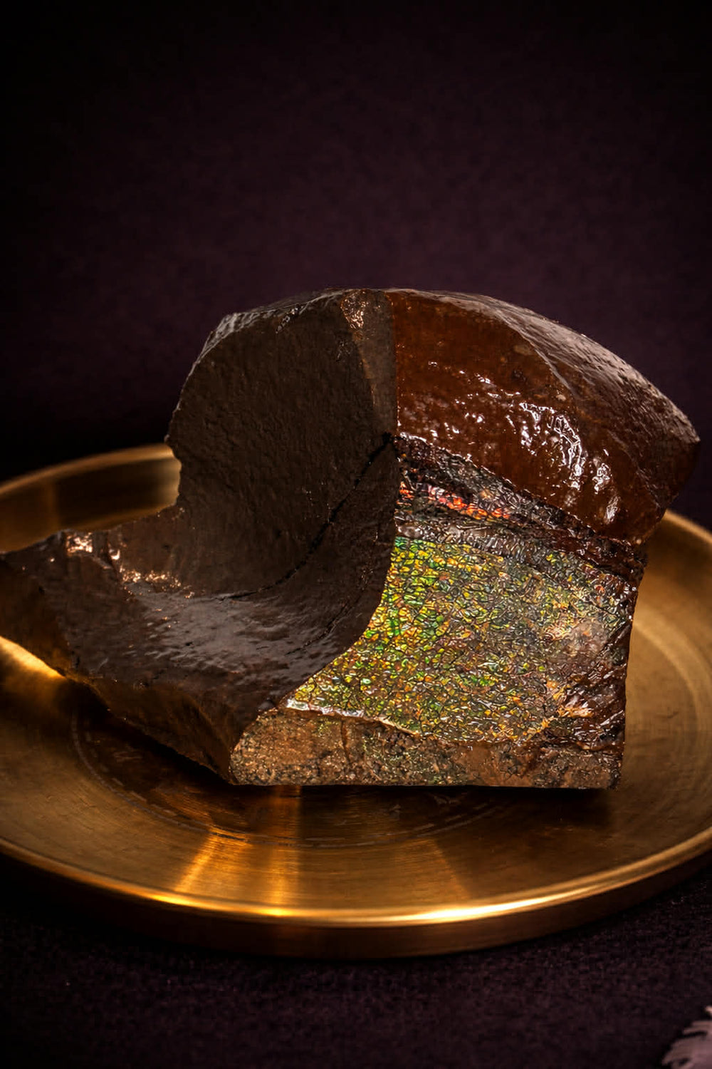 Ammolite