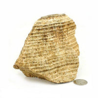 Aragonite Peru Chunk #1