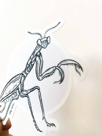 Praying Mantis Sticker: Yes