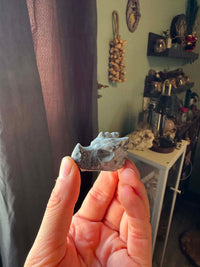 Blacknetwork Dragon Skull