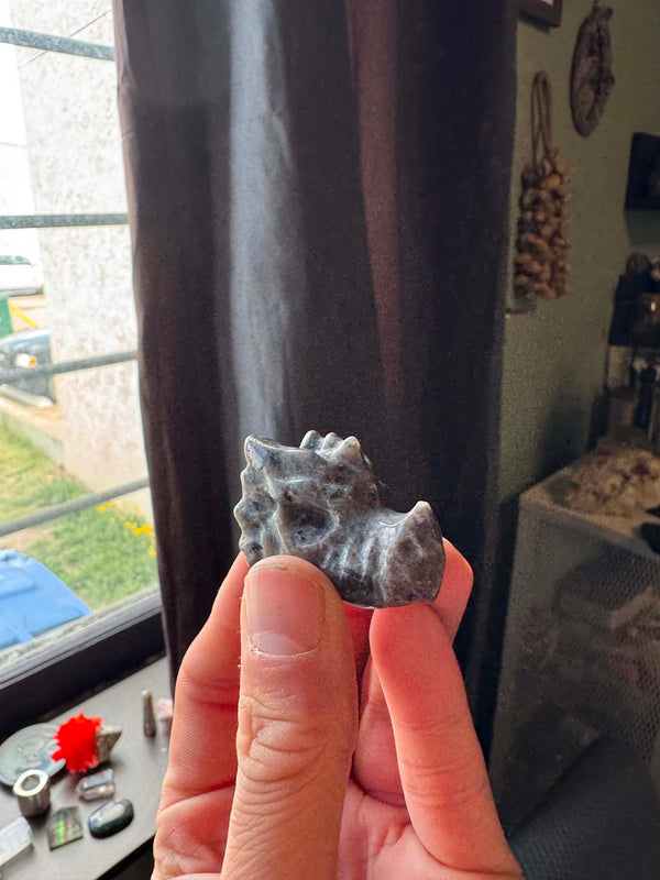 Yooperlites Dragon Skull