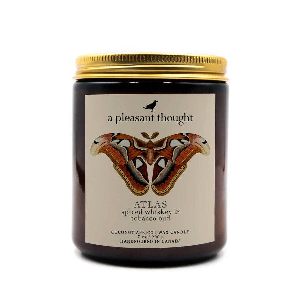 ATLAS | SPICED WHISKEY & TOBACCO OUD | JAR CANDLE: Cotton