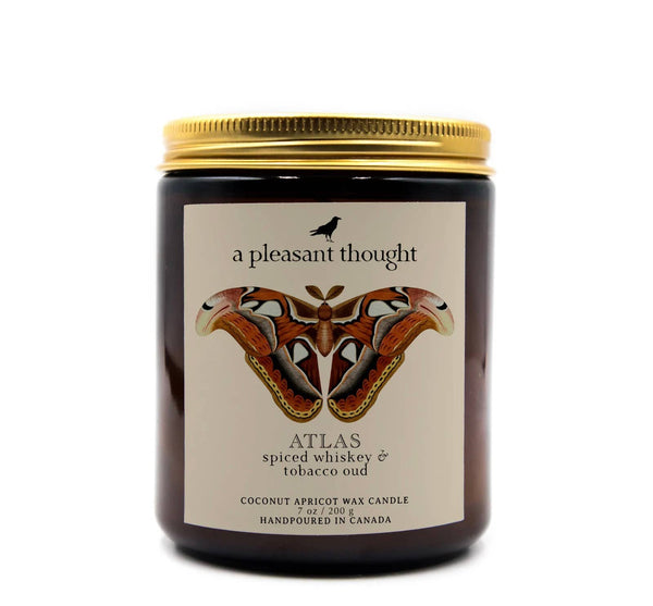 ATLAS | SPICED WHISKEY & TOBACCO OUD | JAR CANDLE: Cotton