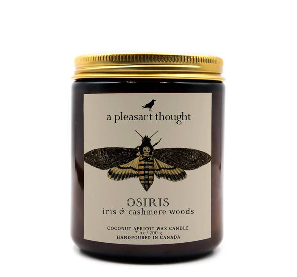 OSIRIS | IRIS & CASHMERE WOODS | JAR CANDLE: Wood