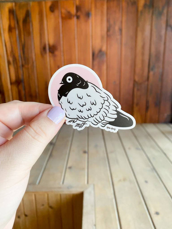 Stunned Pigeon Sticker : Yes