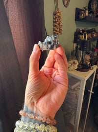 Zebra Jasper Dragon Skull
