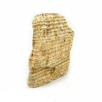 Aragonite Peru Chunk #1