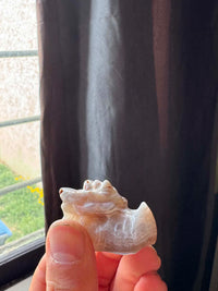 Rednetwork Dragon Skull