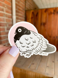 Stunned Pigeon Sticker : Yes