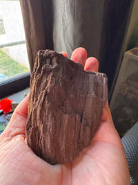 Large Fairywood B