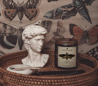 OSIRIS | IRIS & CASHMERE WOODS | JAR CANDLE: Wood