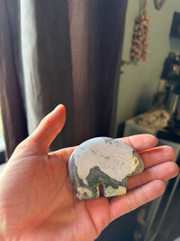 Unicorn Jasper Bear B
