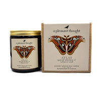 ATLAS | SPICED WHISKEY & TOBACCO OUD | JAR CANDLE: Cotton