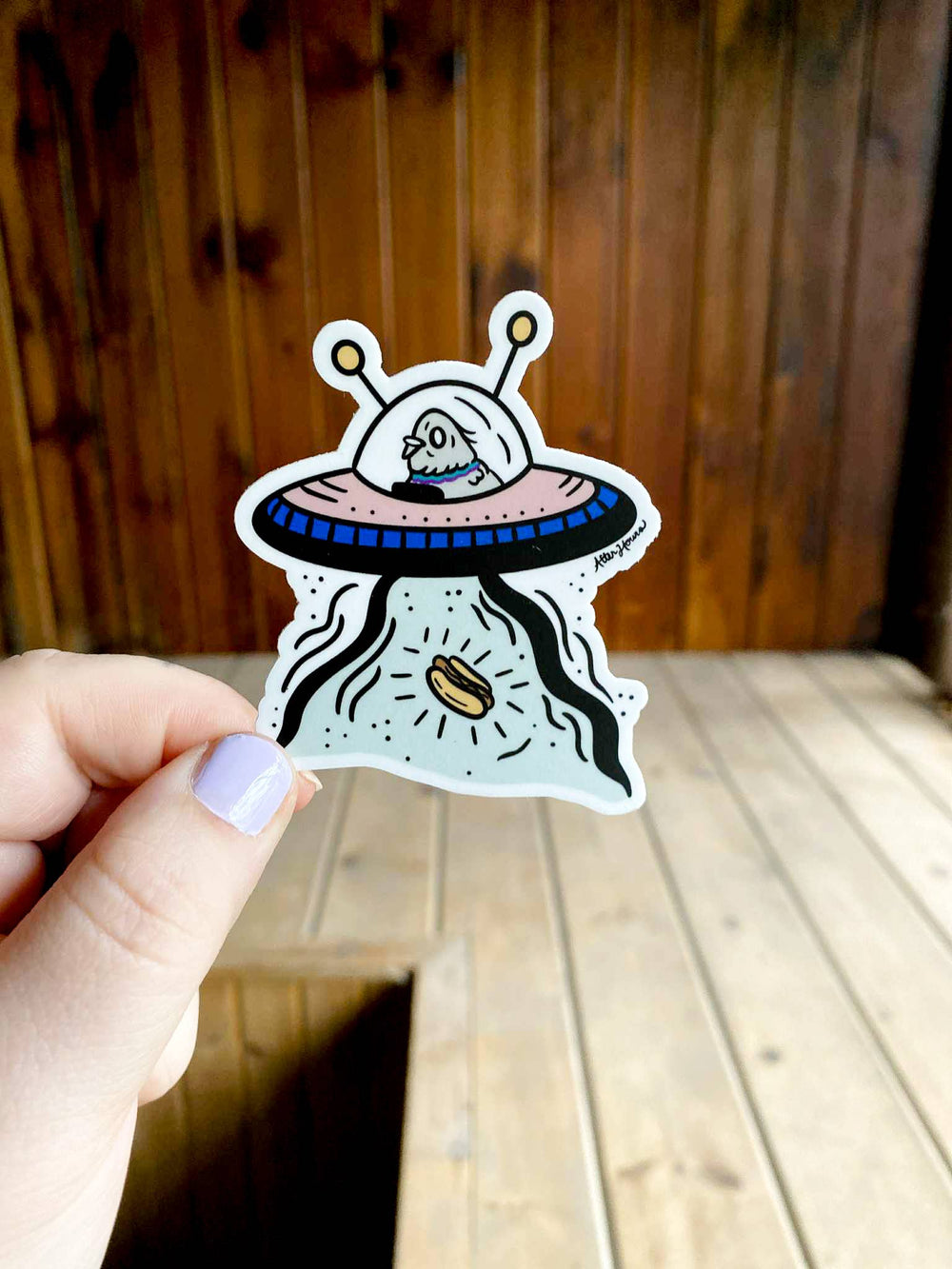 Pigeon UFO - Sticker: Yes