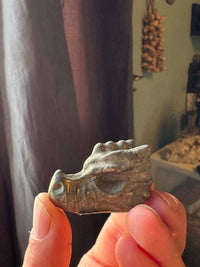 Pyrite Dragon Skull