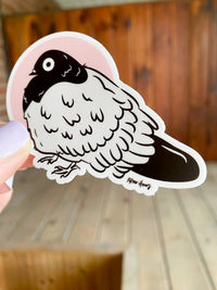 Stunned Pigeon Sticker : Yes