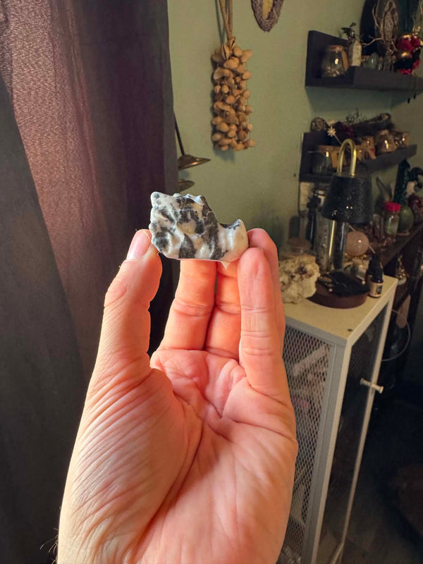 Zebra Jasper Dragon Skull