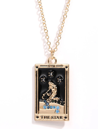 Tarot Card Necklace- The Star- 14K Gold stainless steel: Knight of cups