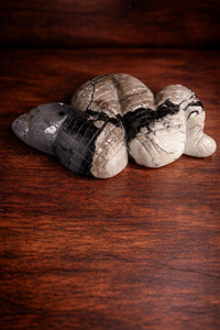 Volcano Agate Snake